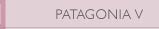 patagonia5