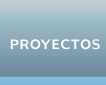 proyectos